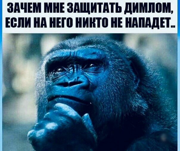 ЗАЧЕМ МНЕ ЗАЩИППЬ дИШШМ ЮНИ А ЕЮ ИП0 НЕ АМД