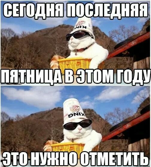 евюдня понявдина КЗП УНН 0ТМЕТИ