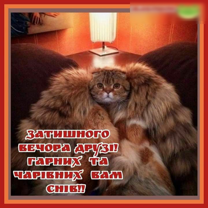 за _ШШ