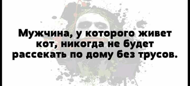 Мужчина у которого живет кот никогда не Будет рассекать по дому без трусов