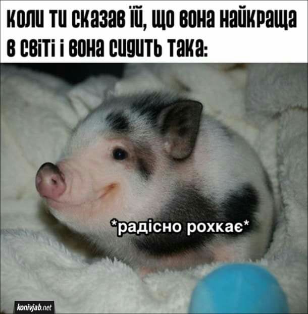 иили тп смазав Ш що вона найкраща в ЕВіТі і вона винить така