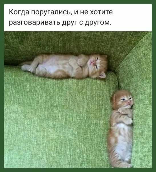 Когда поругались и не хотите разговаривать друг с другом