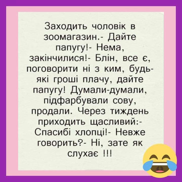 Заходить чоловік в зоомагазин Дайте папугу Нема закінчилися Блін все 6 поговорити ні з ким будь які гроші плачу дайте папугу Думали думали підфарбували сову продали Через тиждень приходить щасливий Спасибі хлопці Невже говорить Ні зате як слухае