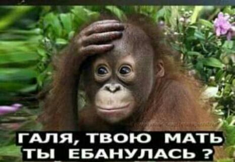 ГАЛЯ твою МАТЬ_ _ ты_ ЕБАнудАсь 1
