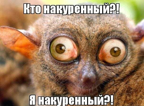 пананмпвнныйш
