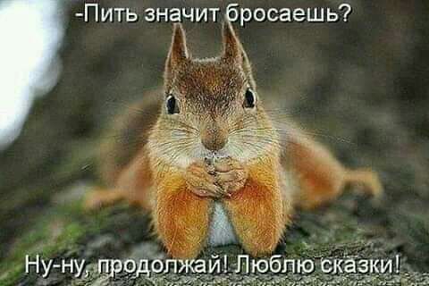 П ить значит росаешь
