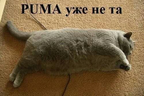 ТЁМ_ А уж не т
