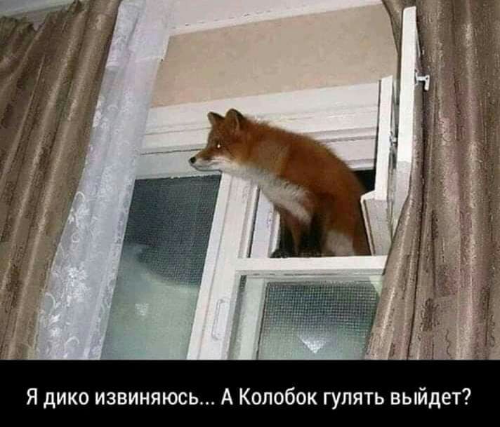 Я дико извиняюсь А Колобок гулять выйдет