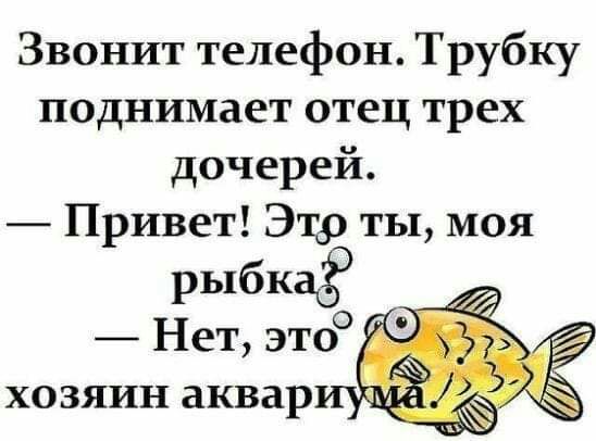 Звонит телефон Трубку поднимает отец трех дочерей Привет Этр ты моя рыбка Нет этоо хозяин аквар