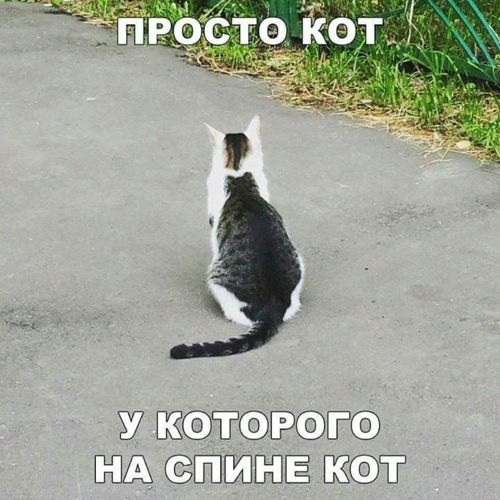 7 ЁБЁ ЮА ЁШЗГЁПЁ Ё