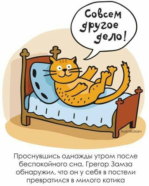 Проснувшись ОАНСЖАЫ утром посихе беспокойного сно Грегор Зомзо обноружим что он у себя в постехи превратиюя в МИАОГО котика