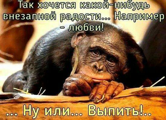 гв