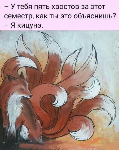 У тебя пять хвостов за этот семестр как ты это объяснишь Я кицунэ Гь