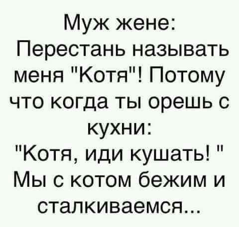 Муж жене Перестань называть меня Котя Потому что когда ты орешь с кухни Котя иди кушать Мы с котом бежим и сталкиваемся