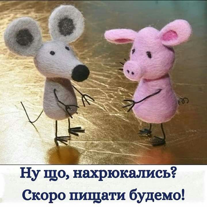 Ну що нахрюкались Скоро пищати будемо