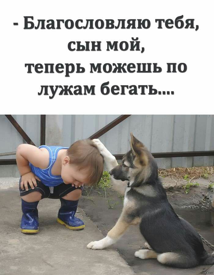 Благословляю тебя сын мой теперь можешь по лужам бегать