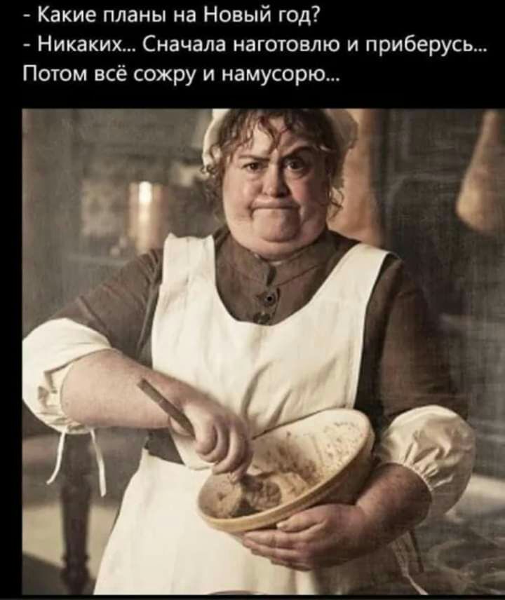 Какие планы на Новый год Никаких Сначала наготовлю и приберусь Потом всё сожру и намусорю