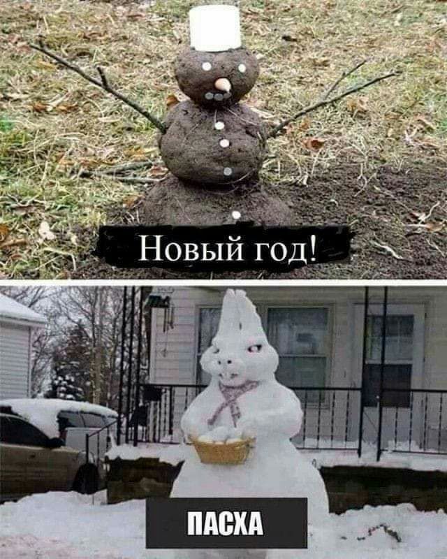 й год _ Новы