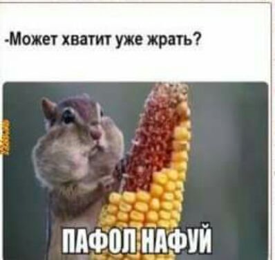 Может хватит уже жрать ПдФ0ПНЛФЧЙ