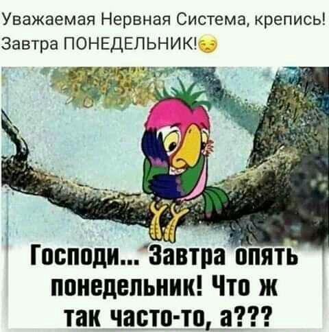 Уважаемая Нервная Система крепись Завтра ПОНЕДЕЛЬНИК Господи Завтра опять понедельник Что ж так часто то а