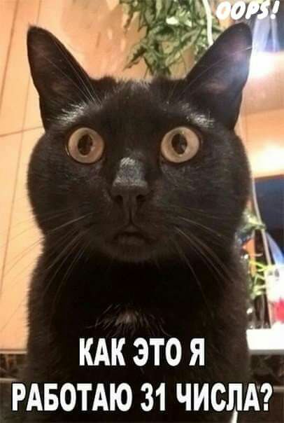 КАК ЭТО Я _РАБОТАЮ 31 ЧИСДА