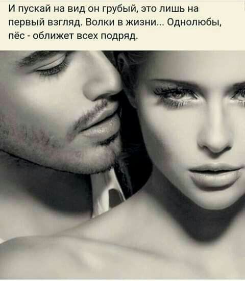 И пускай на вид он грубый это лишь на первый взгляд Волки в жизни Однолюбы пёс оближет всех подряд