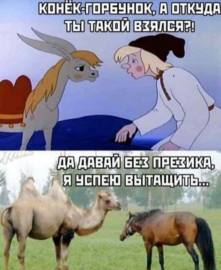 кпнвк гппвннпк Ш пткндд ШШ тдкпй взяли