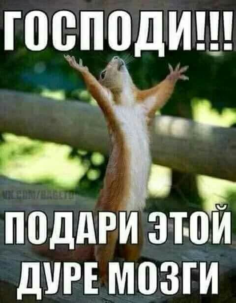 гпцродшы __ с 0 а поддри эти ДУРЕ МПЗГИ