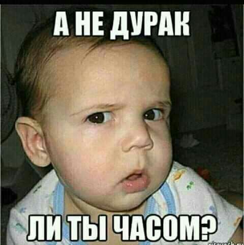 А не щин _ и