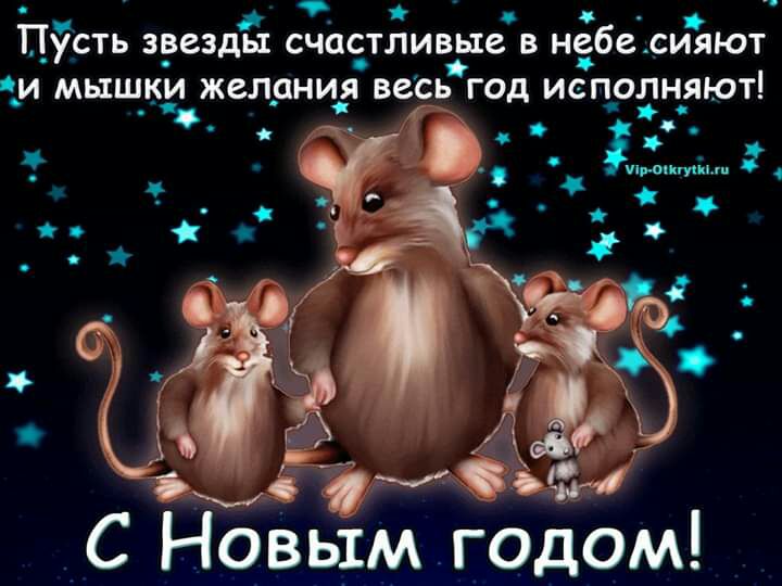 9 Пусть зрезды счастливые в небе сияют _И мышки ЖВЛДНИЯ ВВСЬ ГОД ИСПОЛНЯЮТ 3 _ с