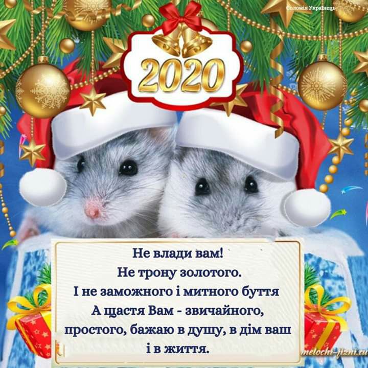 ЁЧіп Не трону золотого 1 не зшожного і митного бутгя А щастя Вам авичайного простогобажаювдушувшмваш івжипя А