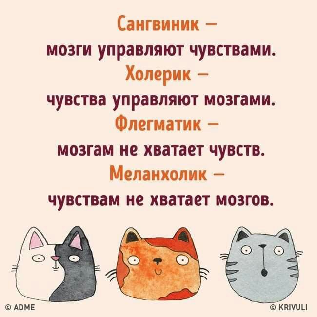 Сангвиник мозги управляют чувствами Холерик чувства управляют мозгами Флегматик мозгам не хватает чувств Меланхолик чувствам не хватает мозгов АВМЕ ККПШЦ
