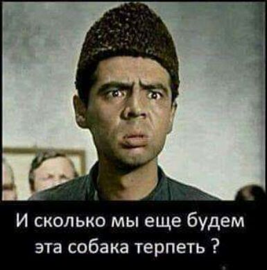 И сколько мы еще будем эта собака терпеть