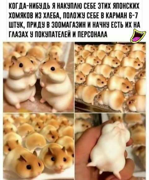КПГМ ИИБЧДЪ И ИАКМПАЮ СЕБЕ ЭТИХ ЯПОНСКИХ ХПМЖПВ ИЗ ХИЕБИ ППМЖИ СЕБЕ В КАРМИИ 6 7 ШТЧК ППШ В ЗППМАГАЗИИ И ИИЧИ ЕСТЬ ИХ ИИ ГМЗАХ ППКЧППЕАЕИ И ПЕРВПИЩ