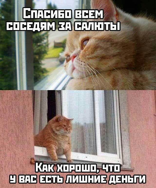 пппвддм зд пдпшты _ р пдпинп зщ _в_ и ктёхпппщчтп ВШБ
