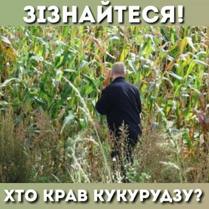 дми1 гг 33513 зіАЗИЦі