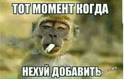 _ ТВТ МГПМШЁ но _ ЕХЁЙ дПБХдЁЙЩЁЬ