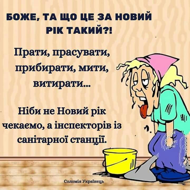 БОЖЕ ТА що це _ЗА новий мк ТАКИЙ Прати прасувати прибирати мити витирати Ніби не Новий рік чекаемо інспекторів із санітарноі станціі
