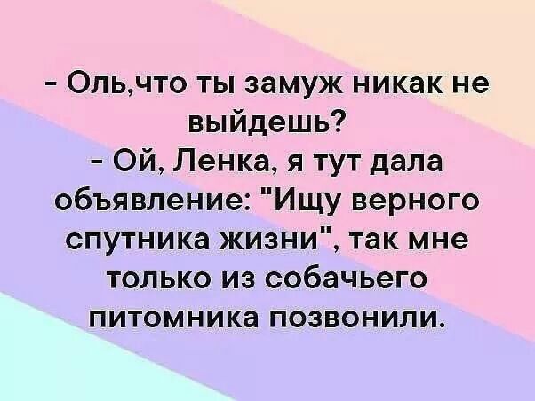 0льчто ты замуж никак не выйдешь Ой Ленка я тут дала объявление Ищу верного спутника жизни так мне только из собачьего питомника позвонили