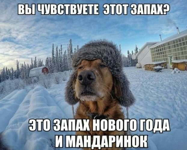 вы ЧУВСТВУЕТЕ ЗПП ЗАПАХ Вг _ дозто зппдх нового голд и мдндпгинон ё