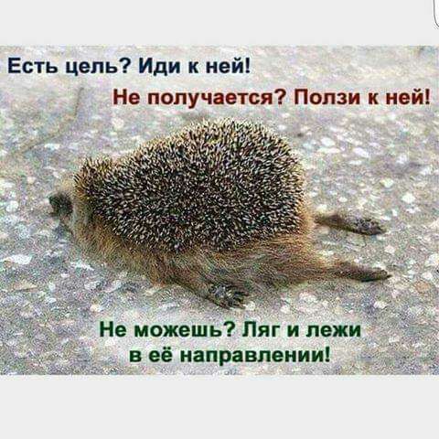 Есть цепь Иди к ней Не получается Попзи ней Не можешь Пяг и пежи в её направлении