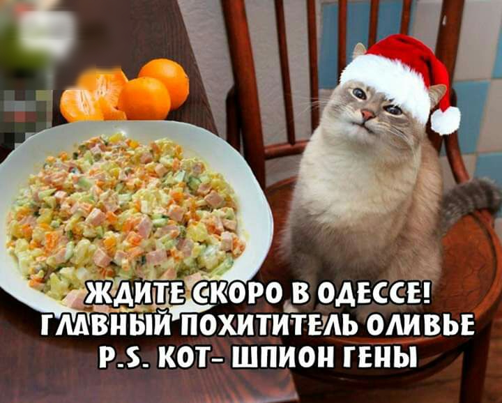 _х соро_в одессы похити твль одивьъ