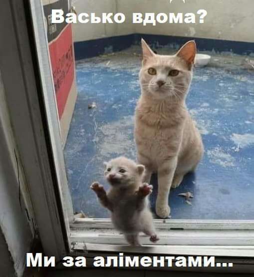Ми за апіментами