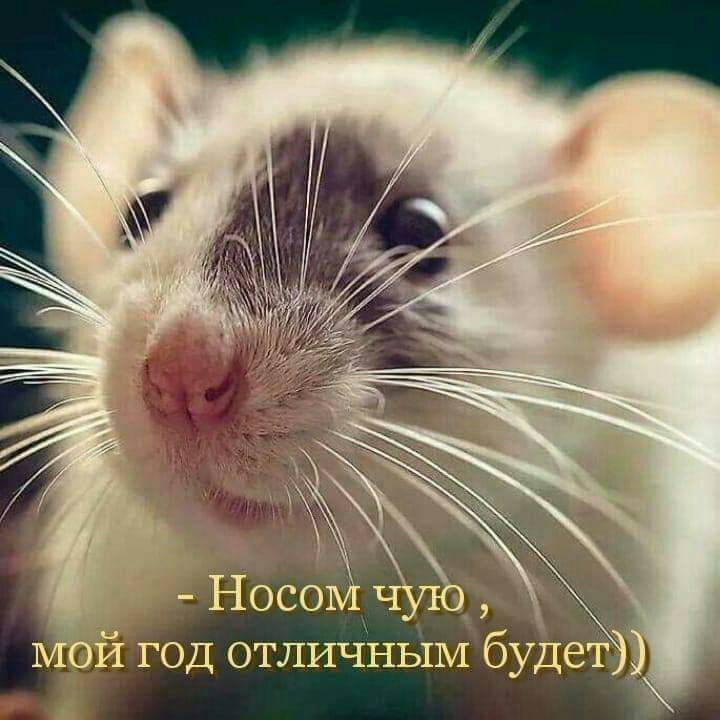 ы од отличным бул