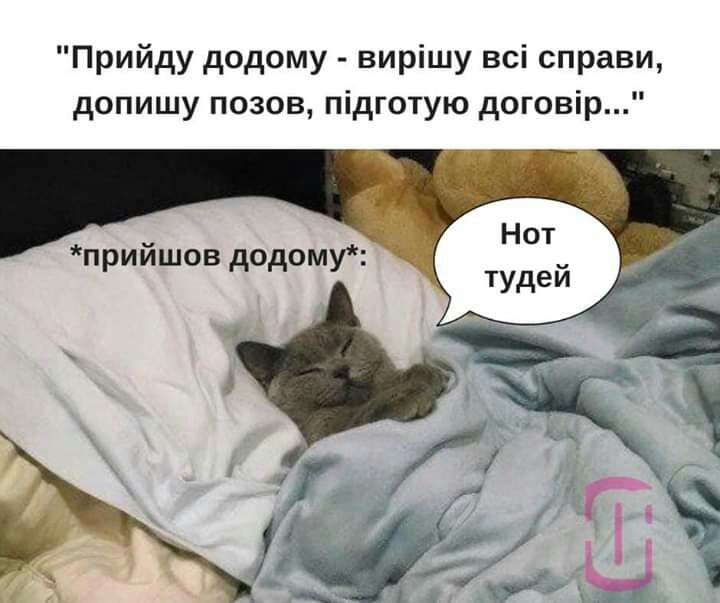 Прийду додому вирішу всі справи допишу позов підготую договір прийшов додому
