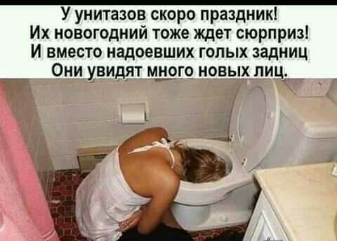 У унитазов скоро праздник Их новогодний тоже ждет сюрприз И вместо надоевших голых задниц Они увидят много новых пиц_