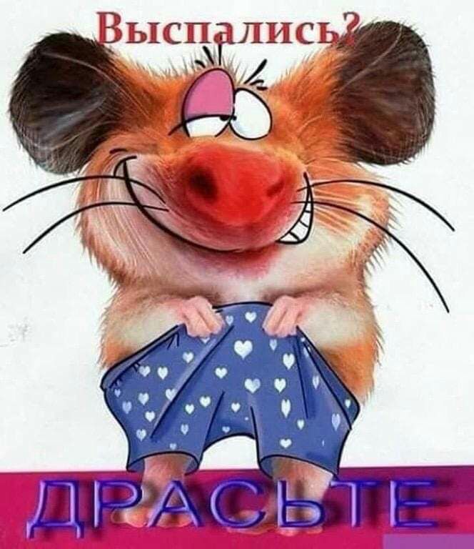 лись РЬЕСЁЁ