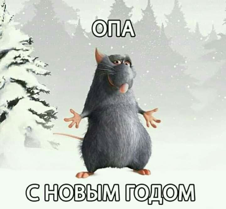 НВЫМ гдм