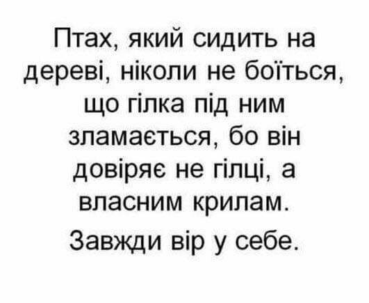 Птах який сидить на дереві ніколи не боіться що гіпка під ним зпамаеться бо він довіряе не гілці а власним крилам Завжди вір у себе