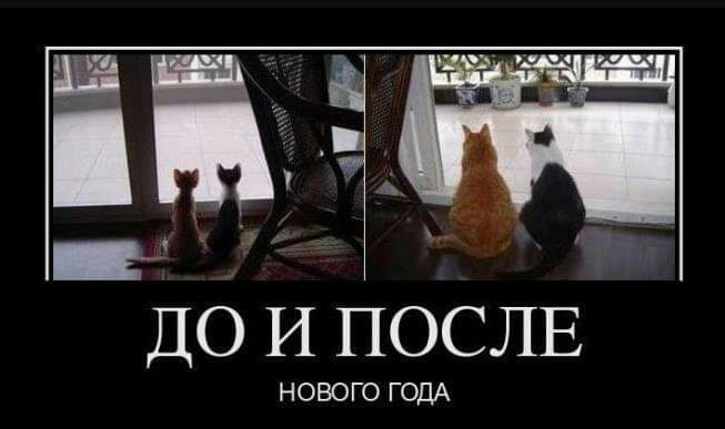ДО И ПОСЛЕ НОВОГО ГОДА